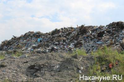 Сгоревший мусор МПБО-2 могут повезти на полигон «Новоселки» под видом компоста