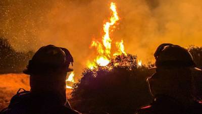 Площадь лесных пожаров в Калифорнии превысила 1,6 млн гектаров