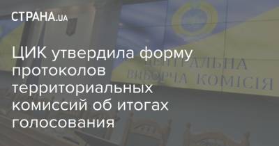 ЦИК утвердила форму протоколов территориальных комиссий об итогах голосования