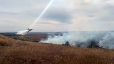 В Воронежской области локализован крупный пожар