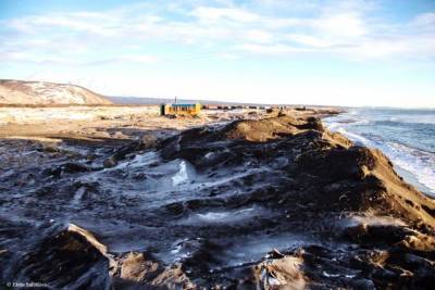 Глава Камчатки назвал три возможные причины экологического бедствия