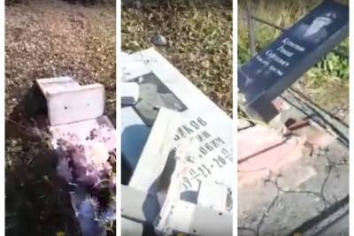 В Новосибирской области вандалы разгромили кладбище