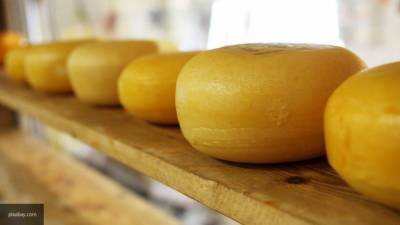 Компания Ipsos провела исследование и определила самый популярный сыр в РФ - politros.com - Россия - Российский