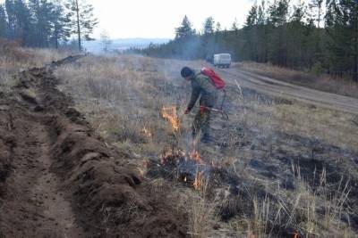 В лесах Бурятии проводятся профилактические выжигания