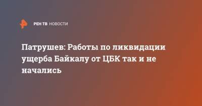 Патрушев: Работы по ликвидации ущерба Байкалу от ЦБК так и не начались