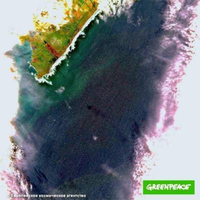 Загрязнение на Камчатке, которое местные власти называют "шлейфом мутности", взял на контроль генпрокурор