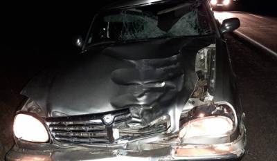Выбежал на дорогу: в Башкирии водитель насмерть сбил пешехода