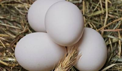 Китаец изобрел новый способ варки яиц