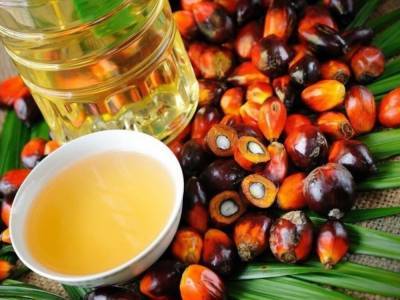 Агроном назвала полезные свойства пальмового масла