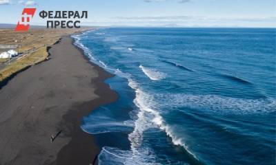 Глава Камчатки заявил, что загрязнение океана может быть связано с землетрясением