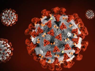 Введение обязательного вакцинирования от коронавируса может вызвать неодобрение в обществе – эксперт