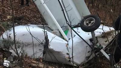 В Пензенской области при крушении самолета погиб пилот
