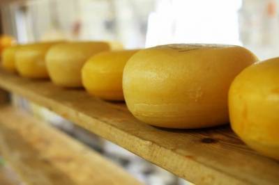 Патриотично: россияне назвали любимый сорт сыра