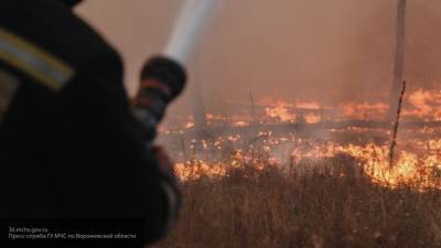 Пожары в ЛНР уничтожили порядка 400 домов