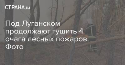 Под Луганском продолжают тушить 4 очага лесных пожаров. Фото