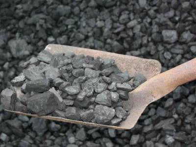 В Украине нерационально организовали процесс закупки угля перед отопительным сезоном - экономист