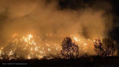 Пожар охватил более 20 тысяч гектаров Луганской области Украины