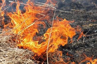 В Украине объявили чрезвычайный уровень пожарной опасности, - ГосЧс