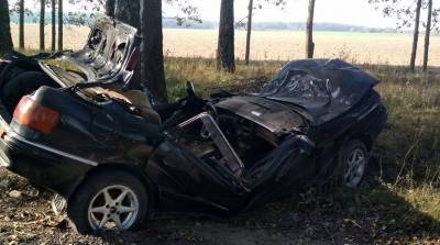 В Жлобинском районе водитель легковушки врезался в дерево и погиб