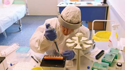 Более 48 млн тестов на коронавирус проведено в России