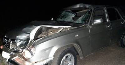 В Башкирии под колёсами машины погиб внезапно выбежавший на дорогу мужчина