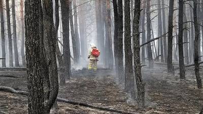 Потушены все природные пожары в Ростовской области