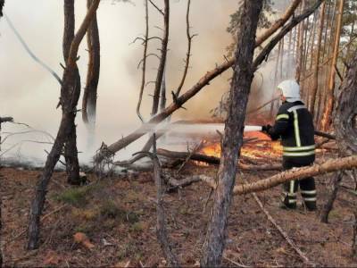 Пожары в Луганской области. Спасатели потушили большую часть очагов возгораний
