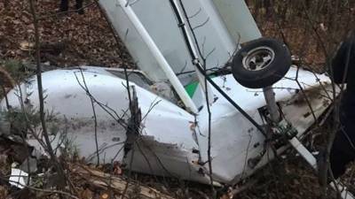 СК выдвинул несколько версий падения легкомоторного самолета под Пензой