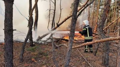 В Луганской области продолжается тушение четырех основных очагов возгорания