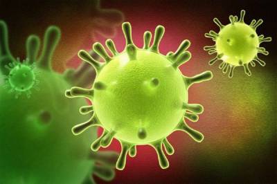 За сутки 81 человек заразился коронавирусом в Хабаровском крае