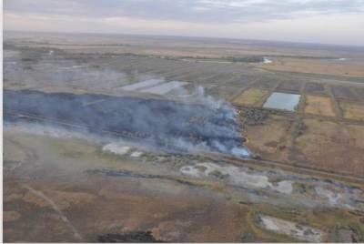 Ландшафтные пожары выявляют с помощью авиации: на Дону предотвратили распространение шести возгораний