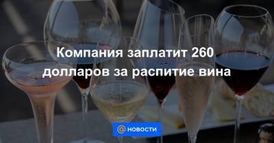 Компания заплатит 260 долларов за распитие вина