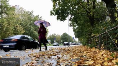 Петербуржцам предсказали теплую и дождливую погоду в понедельник