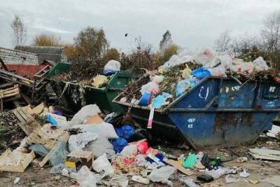 Улица города Тверской области «утопает» в мусоре