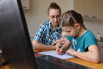 Школы трех российских регионов переведут на дистанционное обучение