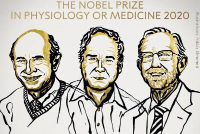 Нобелевскую премию по медицине дали за исследования гепатита С