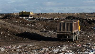 Власти Ленобласти выступили против завода по переработке мусора под Гатчиной