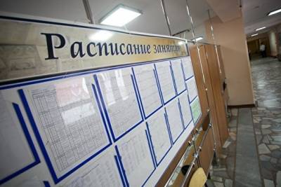 В Челябинске две школы ушли на каникулы из-за массового заболевания учителей