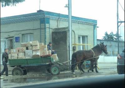 В Ровенской области людям привозят посылки почтовые лошади