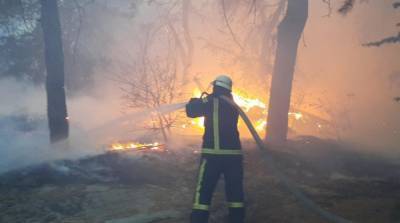 В Луганской области из-за пожаров снова детонируют снаряды