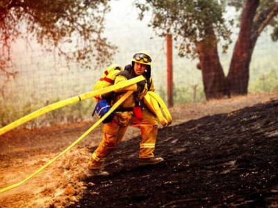 Стал известен объем убытков от лесных пожаров в Калифорнии