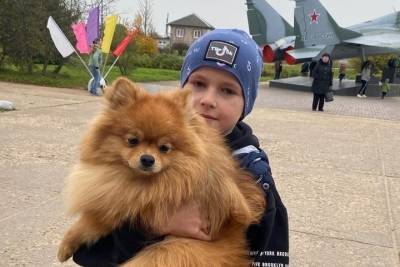 В Тверской области прошла выставка собак