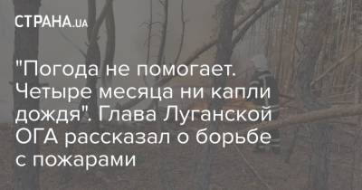 "Погода не помогает. Четыре месяца ни капли дождя". Глава Луганской ОГА рассказал о борьбе с пожарами