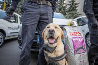 Украинцев с COVID-19 будут искать полицейские собаки