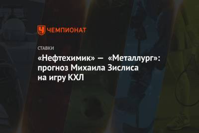 «Нефтехимик» — «Металлург»: прогноз Михаила Зислиса на игру КХЛ