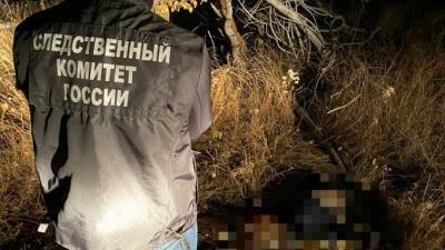 В Саратовской области во время работ комбайнер нашел человеческие останки