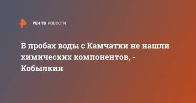 В пробах воды с Камчатки не нашли химических компонентов, - Кобылкин