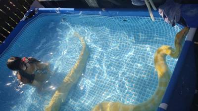 Видео: 8-летняя Инбар плавает в бассейне с огромным питоном
