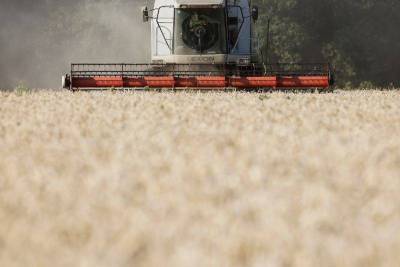 Экспорт украинского зерна с начала сезона 2020/21 гг упал на 14,9%