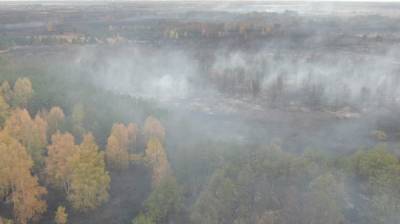 Памятник природы в Воронежской области загорелся по вине поджигателя картофельной ботвы